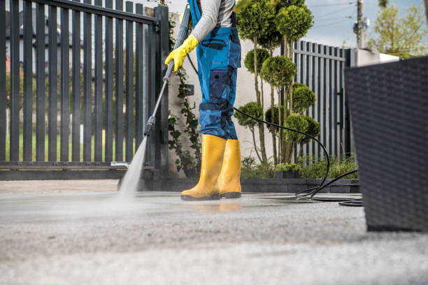 Best Fence Pressure Washing  in Merian, ID