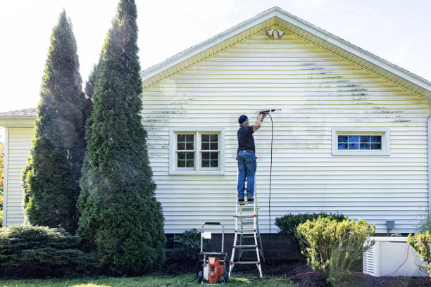 Best Fence Pressure Washing  in Merian, ID